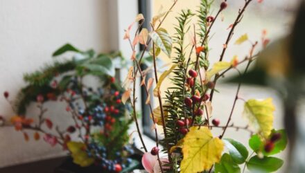 Blomsterarrangemang i ett fönster